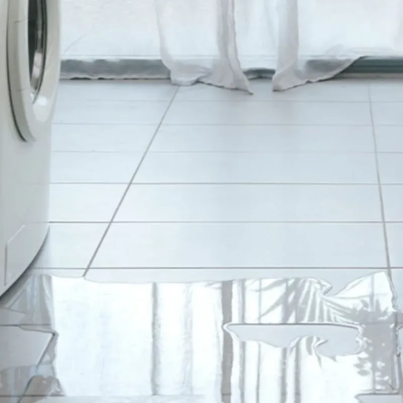 Appliance Leak Cleanup in Palmview South, TX