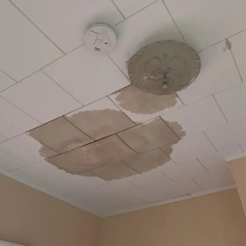 Ceiling Water Damage Repair in Palmview South, TX