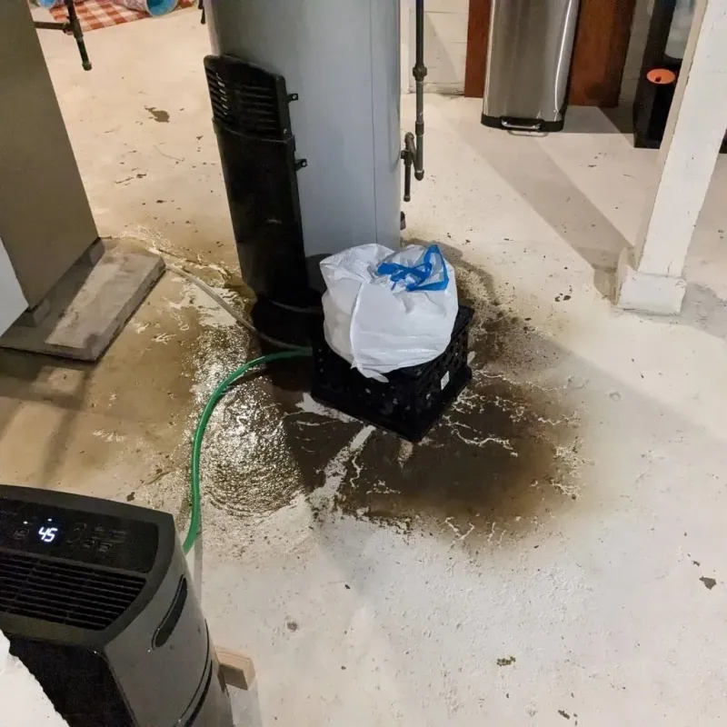 Sewage Backup Cleanup Service in Palmview South, TX